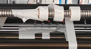 Lorem ipsum dolor sit amet, consectetur adipiscing elt. Aenean euismod laoreet.